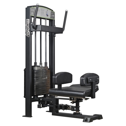 Тренажер для пресса (Весовой стек (одна сторона) 60 кг)Gymleco 376