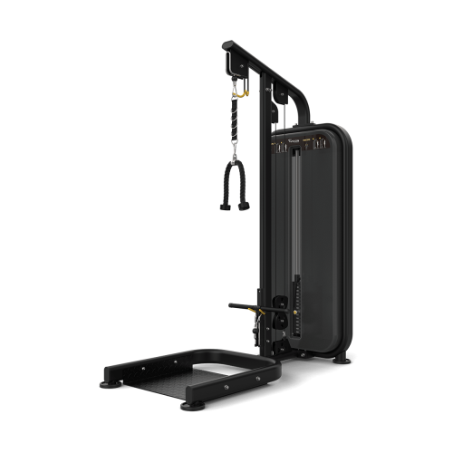 Бицепс / Трицепс (Вес стека 68,2 кг) Vision  VST600-S401