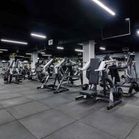 D-920 Вертикальная тяга (Pull Down) рычаги серый