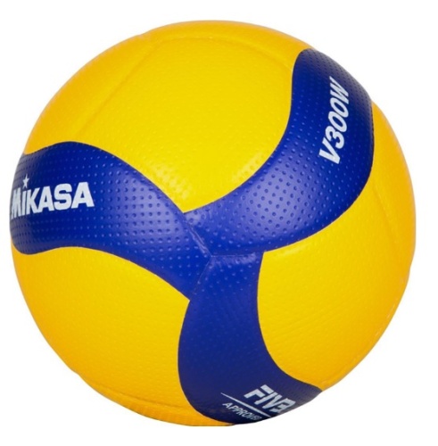 Мяч волейбольный MIKASA V300W, FIVB Approved