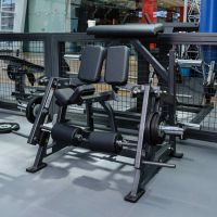 SM2031 Независимое сгибание ног стоя