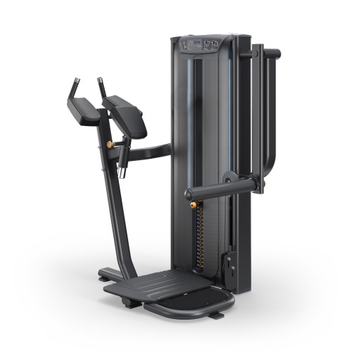 Ягодичные мышцы Matrix Versa Heavy VS-S78H