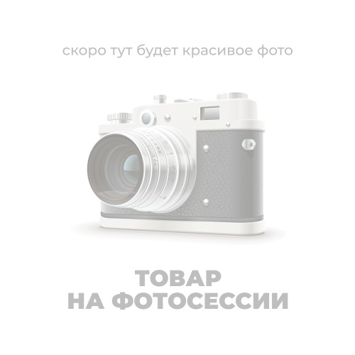 Сани для кросфита BRONZE GYM PARTNER FL-12