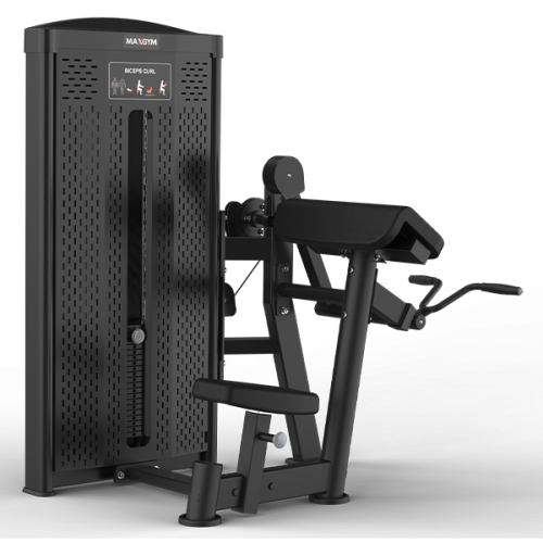 Тренажер MAXGYM AE006 Бицепс
