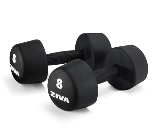 Набор уретановых гантелей Ziva ZVO-PUTF-3081 1–10 кг