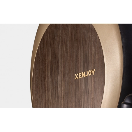 Эллиптический тренажер Xenjoy XE5 XJ-E01B1