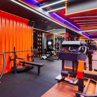 D-955 Сгибание ног стоя(Leg Curl) рычаги серый