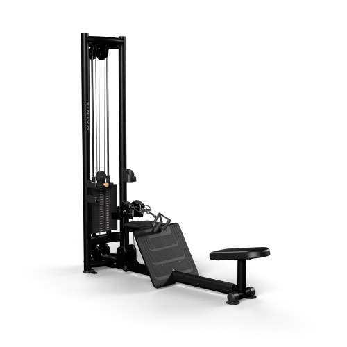 Блок гребной тяги Matrix Aura G3-MS53 (стек 134 кг)
