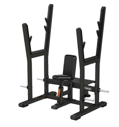 Олимпийская скамья для жима от плеч PRECOR Discovery Line DBR 507 серебристый