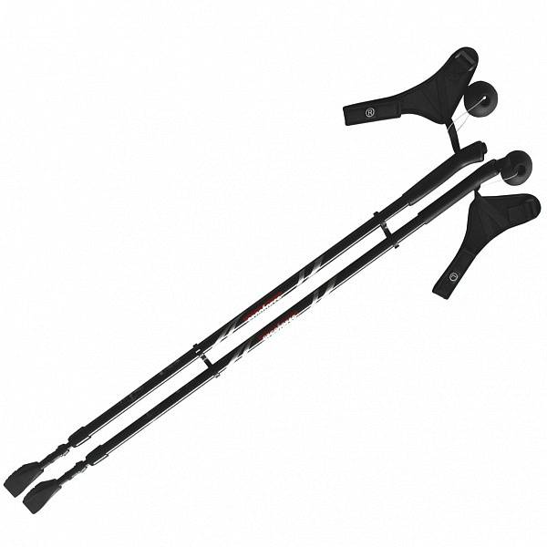 Палки для скандинавской ходьбы Ergoforce Ergo-50, E-0674, черный цвет