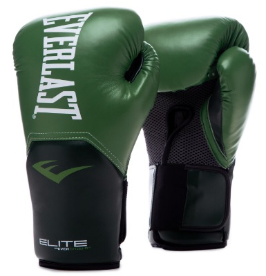 Перчатки тренировочные EverLast Elite ProStyle 10oz (зеленый)