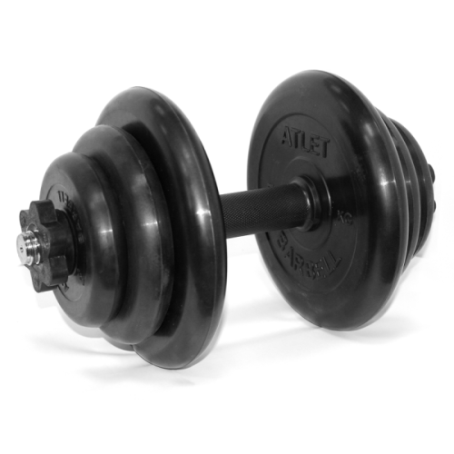 Гантель разборная 19 кг MB BARBELL MB-FdbM-At19
