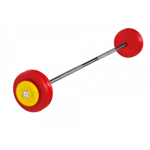 Штанга неразборная с цветными дисками, 25 мм, 27,5 кг MB BARBELL MB-BarMW-C27,5