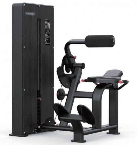 Разгибание спины XENJOY Back Extension Machine J7117