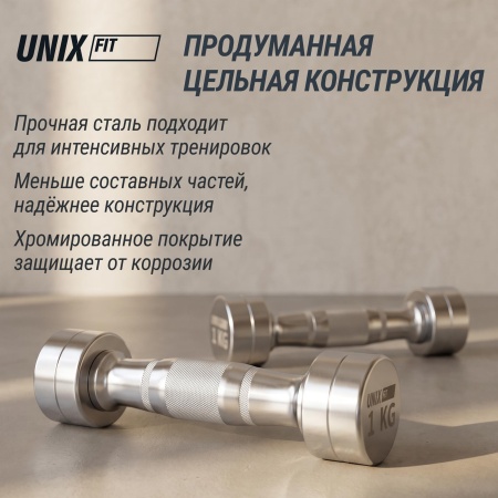 Гантель UNIX Fit PRO круглая хромированная 1 кг, 2 шт.
