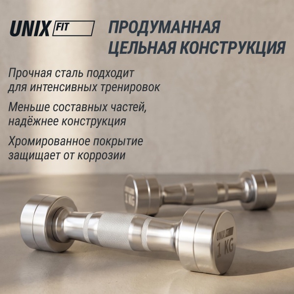 Гантель UNIX Fit PRO круглая хромированная 1 кг, 2 шт.