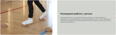 Деревянная полусфера Pedalo® Balance-Stein ( 1 шт. ) ( арт. 143158-01 )
