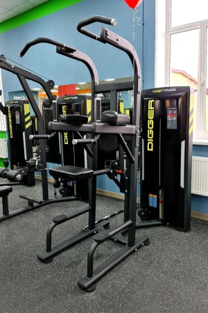 Гравитрон Digger HD008-1