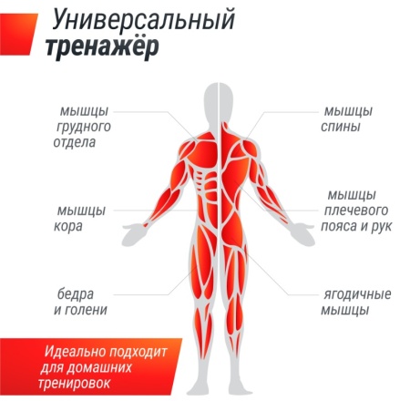 Силовая рама UNIX Fit многофункциональная с тягой (300 кг)