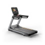 Беговая дорожка Matrix Endurance с консолью Touch XL