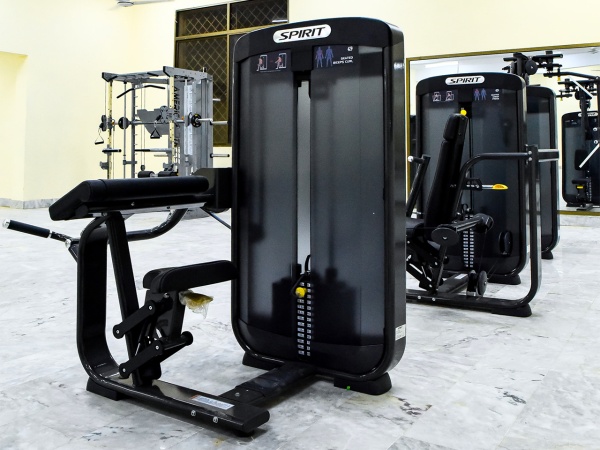 Бицепс машина в положении сидя SPIRIT SP-3506