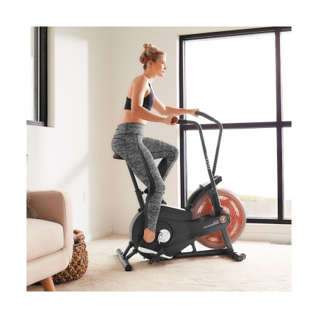 Велотренажер Schwinn Airdyne AD2i, air bike (100430)