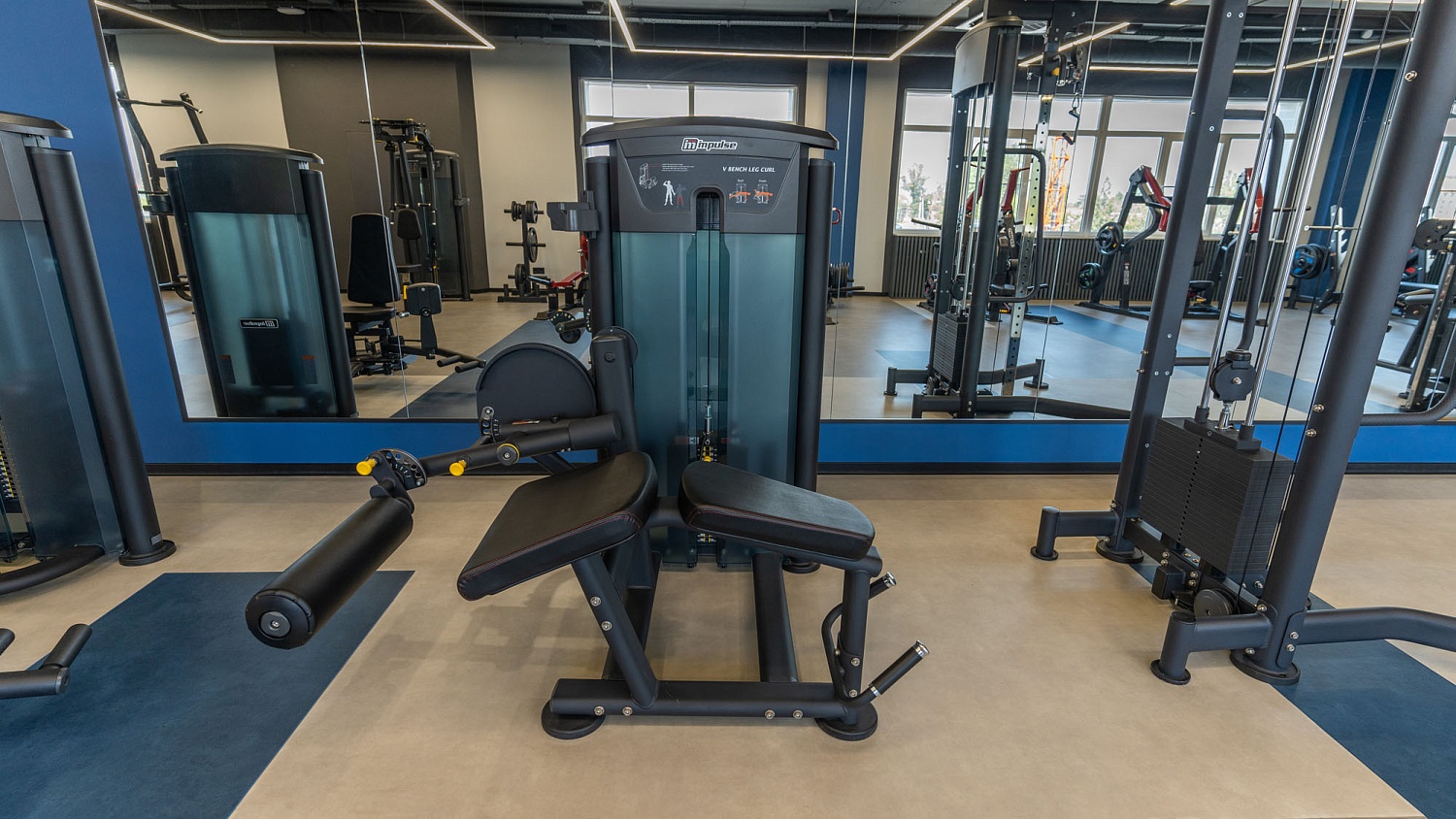 Фитнес клуб в спортивном комплексе «Кортфилд» г. Батайск (385 м²)