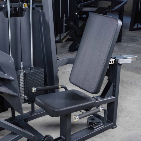 A2003 Жим ногами. Стек 100 кг