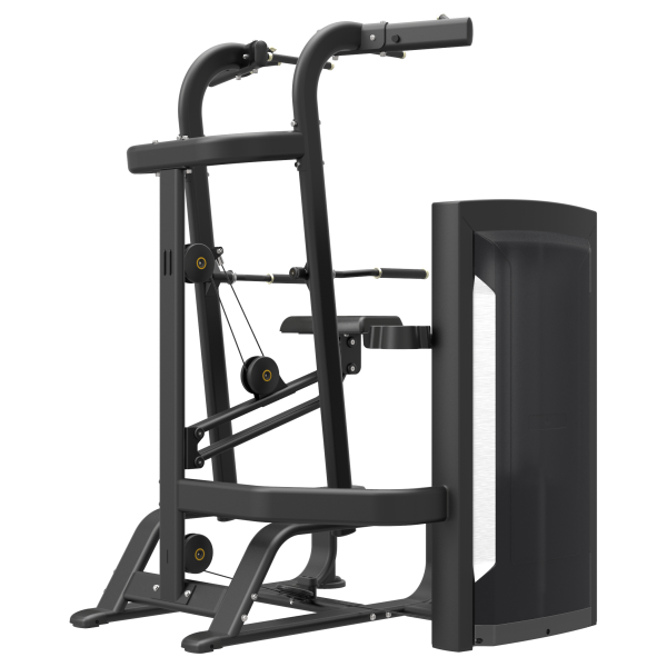 FE9720 Подтягивание/отжимание с помощью ExoForm (107 кг)