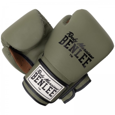 Перчатки тренировочные BenLee Evans 12 oz, хаки