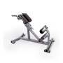 Гиперэкстензия Protrain HCLT-5002