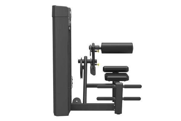 Разгибание спины SPIRIT SP-4310