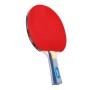 Ракетка для настольного тенниса TORRES Hobby