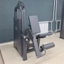 R-2002 Разгибание ног сидя (Leg Extension). Стек 100 кг