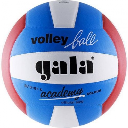 Мяч волейбольный Gala Academy , BV5181S, белый цвет, 5 размер