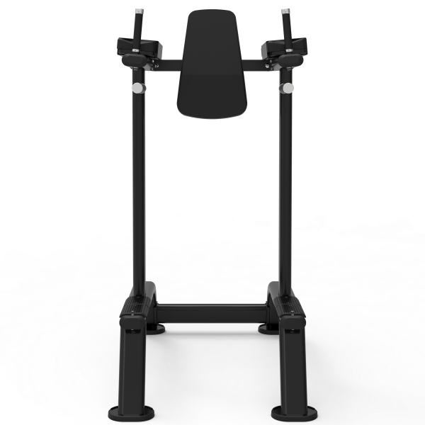 Impulse ITF8701 поднятие коленей / брусья