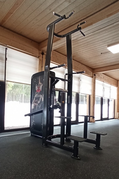 Отжимание/подтягивание с отягощением SPIRIT SP-3517