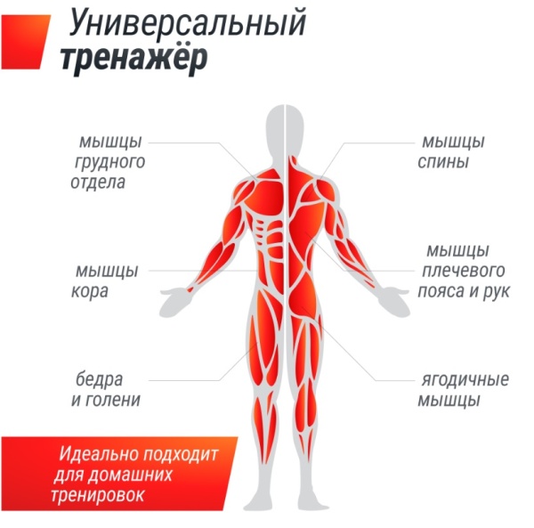 Силовая рама UNIX Fit многофункциональная (200 кг)