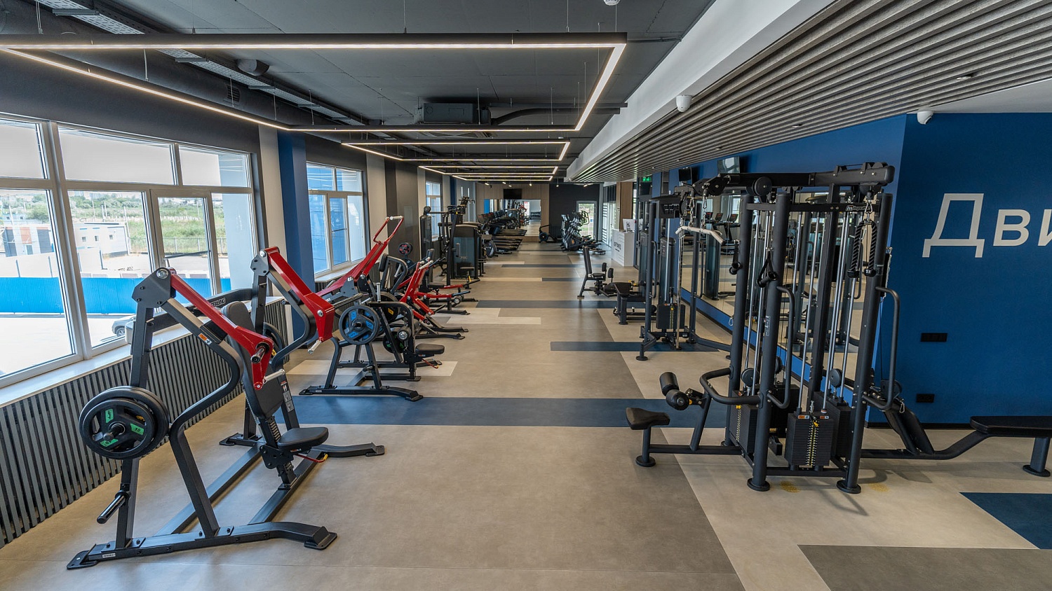Фитнес клуб в спортивном комплексе «Кортфилд» г. Батайск (385 м²)