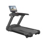 Профессиональная беговая дорожка SHUA SH-T8919T22 (21,5" экран)
