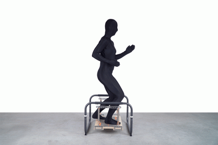 Балансировочная система Pedalo Stabilisator Profi ( арт.14003000 )