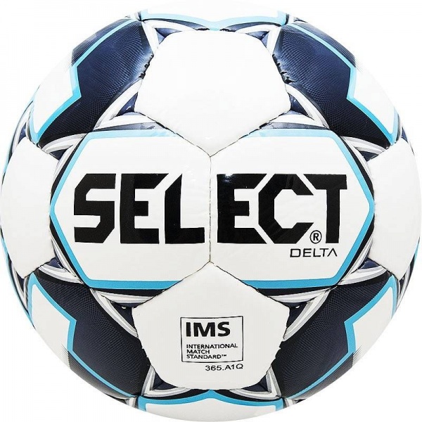 Мяч футбольный Select Delta 2019, 815017-009, белый цвет, 5 размер