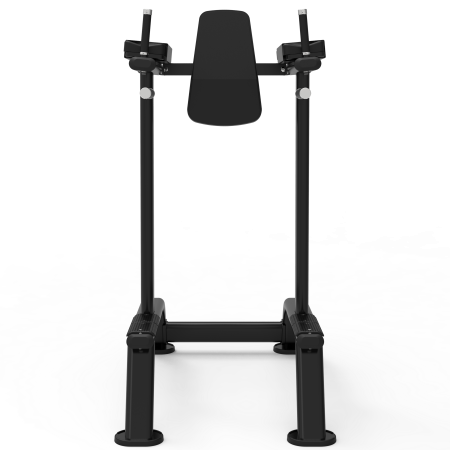 Impulse ITF8701 поднятие коленей / брусья