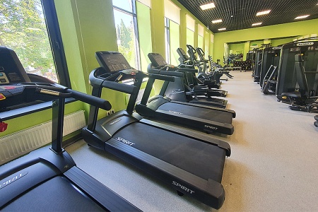 Беговая дорожка Spirit Fitness CT850
