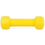 Гантель TORRES 1 кг, PL522202, металл в виниловой оболочке, форма шестигранник, лимонный