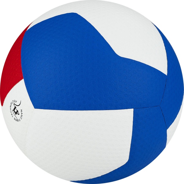 Мяч волейбольный GALA Pro-Line 12 BV5595SA, размер 5