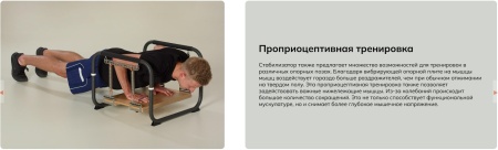 Балансировочная система Pedalo Stabilisator Profi ( арт.14003000 )