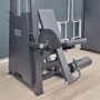 R-2002 Разгибание ног сидя (Leg Extension). Стек 100 кг