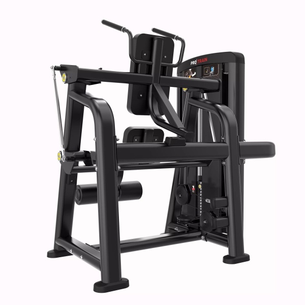 Скручивания Protrain (Весовой стек 96 кг)LFS119