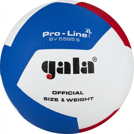 Мяч волейбольный GALA Pro-Line 12 BV5595SA, размер 5